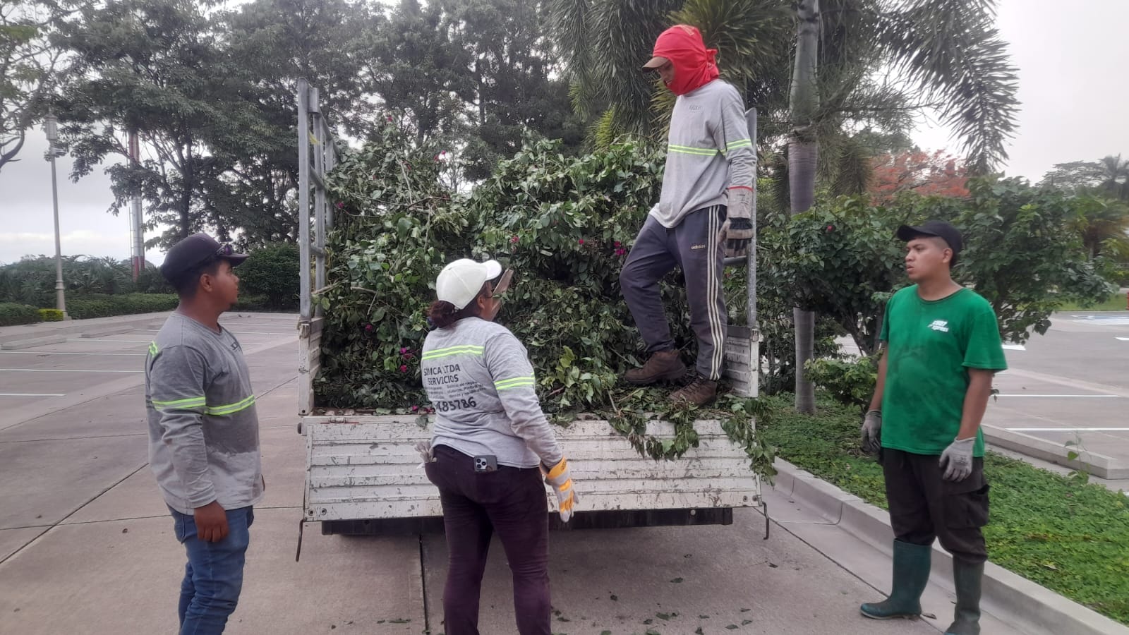 jardin 1